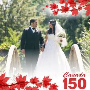 Meet your Posher, Ellie